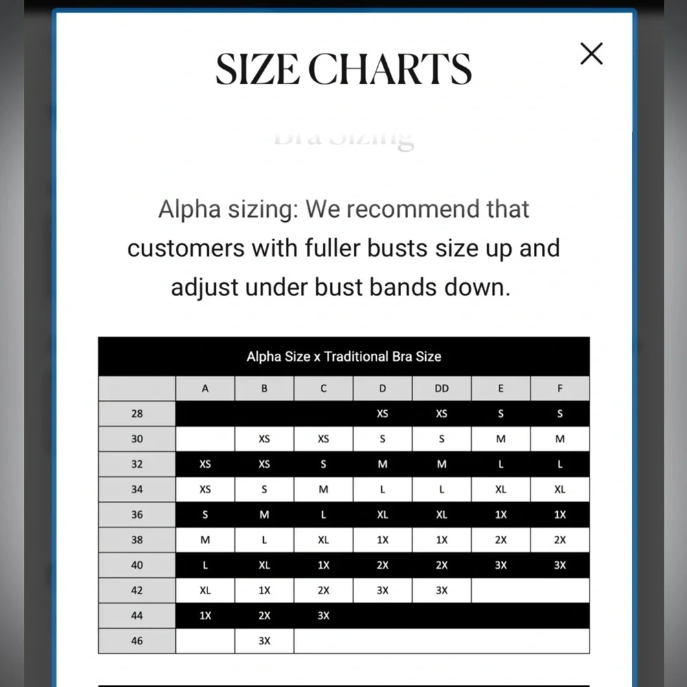 Thistle and Spire Outlaw bustier rodeo collection 3X bralette bra top - Picture 13 of 14